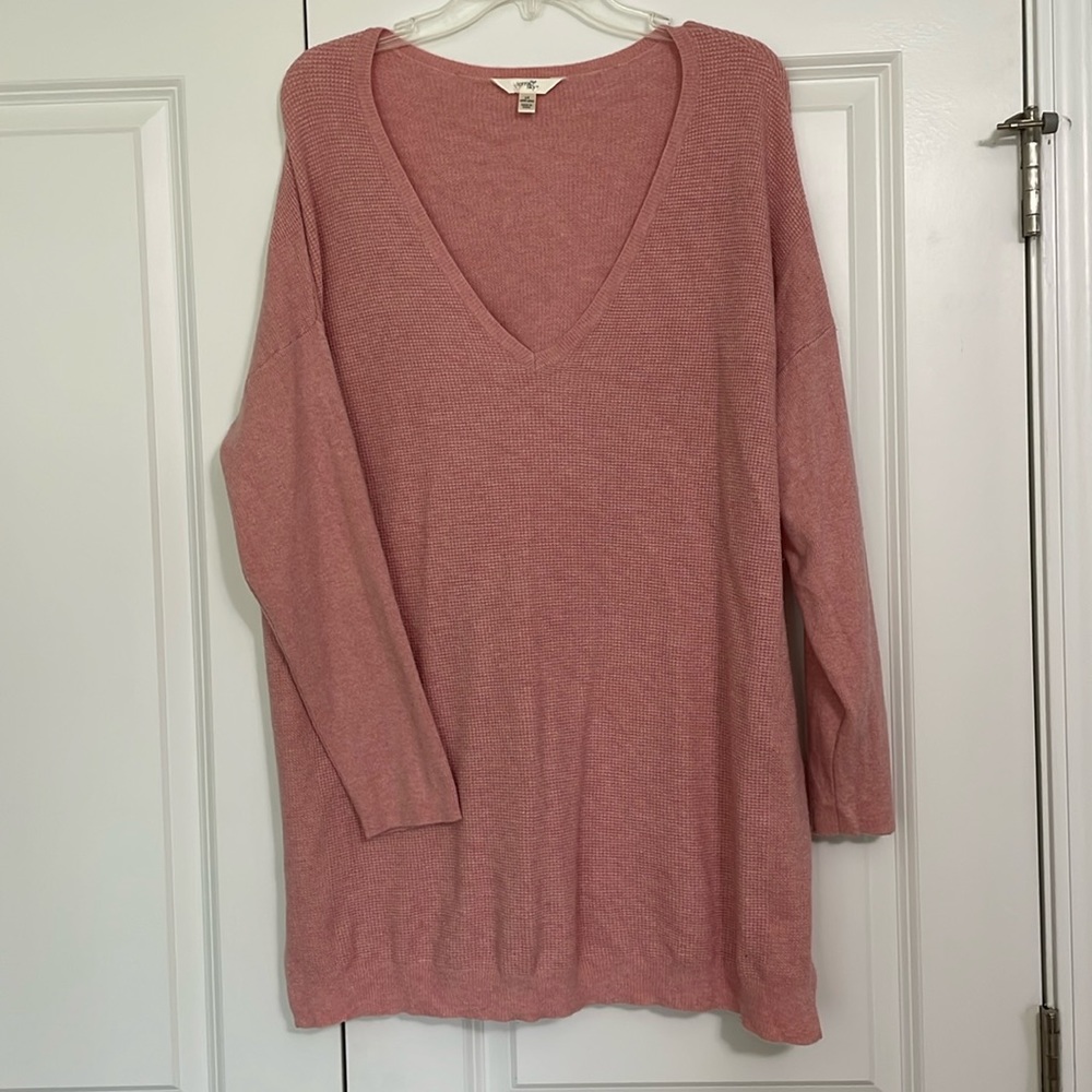 Terra & Sky Brushed V Neck Sweater 1X